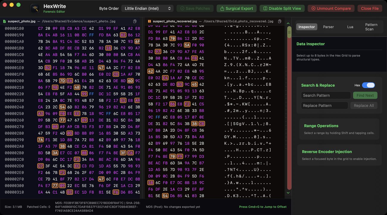 HexWrite Split View 並排比對兩個二進位檔案的差異，相異位元組在兩側窗格中皆有標示